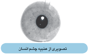 تصویر matlab_9782_6 تصویر matlab_9782_6 پروژه فیلتر تصویر در حوزه فرکانس برای عنبیه چشم با MATLAB