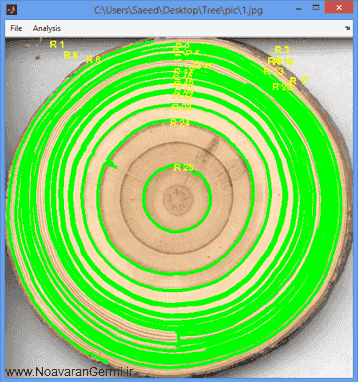 تصویر matlab-tree_14275_3 تصویر matlab-tree_14275_3 تشخیص سن درخت با استفاده از پردازش تصویر در متلب