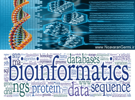 تصویر advanced-bioinformatics-video_21873_2 تصویر advanced-bioinformatics-video_21873_2 آموزش بیوانفورماتیک پیشرفته – تحلیل داده های گسترده زیستی